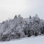 Schwuewong - 12
