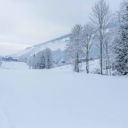 Apartment Schwuewong - 12 *